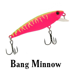 Bang Minnow