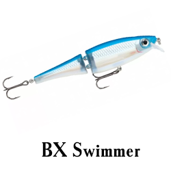 BX Swimmer