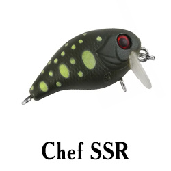 Chef SSR