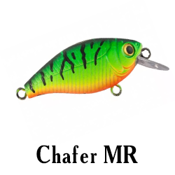 Chafer MR