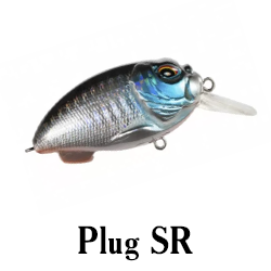 Plug SR