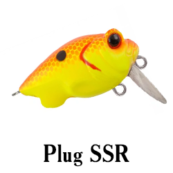 Plug SSR
