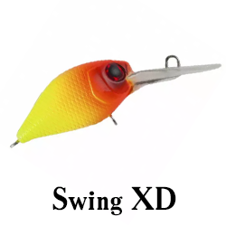 Swing XD