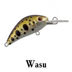 Wasu