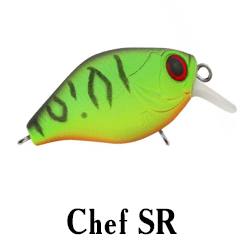 Chef SR