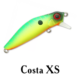 Costa XS
