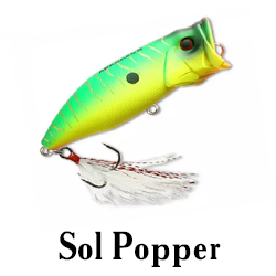 Sol Popper