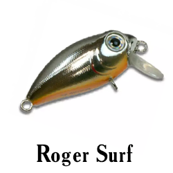 Roger Surf
