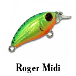 Roger Midi