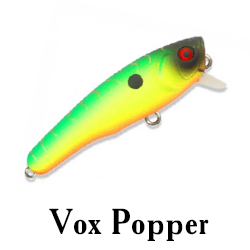 Vox Popper
