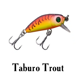 Taburo Trout