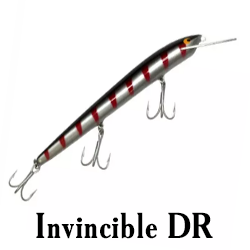 Invincible DR
