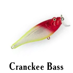 Cranckee Bass