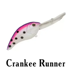 Crankee Runner