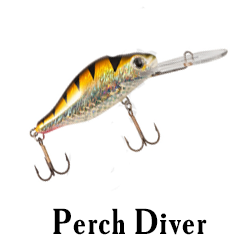 Perch Diver